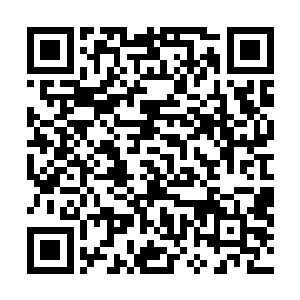 更加没想到自己等人还被困在了一个不大不小的山洞之中二维码生成