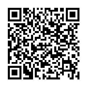 更包括白素仙的感情经历和那些可说不可说的男女之事二维码生成