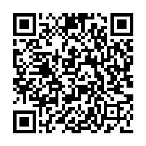 更卑鄙的是他们竟然吸收已经下葬的龙族的龙魂二维码生成