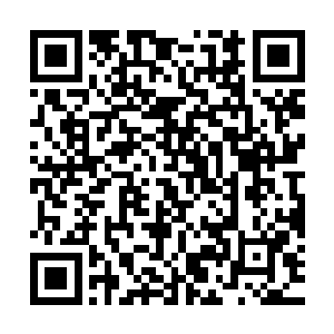 更可笑的是那个丫鬟的孩子掉了江家的人竟然诬陷是她下的毒手二维码生成