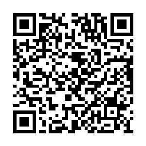 更可能的结局是乔恩会等待自己率兵击败了兽潮二维码生成