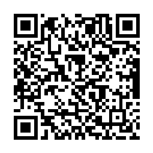 更因为多次与严辉的上品圣剑碰撞而出现多处的缺口二维码生成