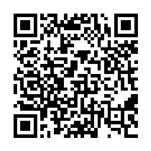 更因为那地下有着一头属于他们亚特兰蒂斯一族的守护兽二维码生成