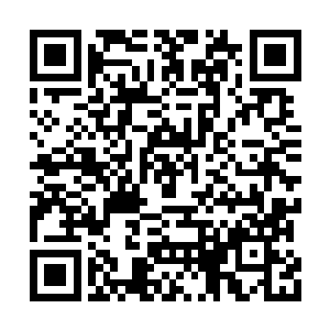 更多大部分的人既不了解陈金规也不知道密侦司二维码生成