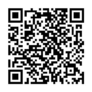 更多是来自于对这些年轻之辈的能力以及稳重感到的惊讶二维码生成
