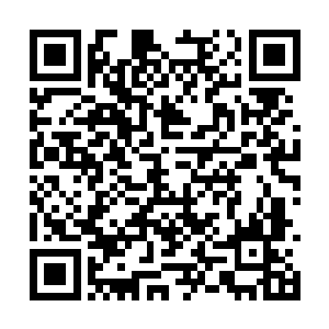 更多枝桠和藤蔓却争先恐后朝李耀身后的灰烬扑来二维码生成