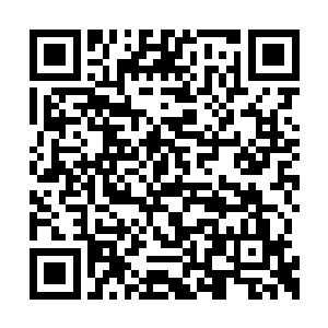 更多的反应是默默的拉过胸前的手雷或者爆炸物二维码生成