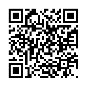 更多的只能是提出一些指导性的建议二维码生成