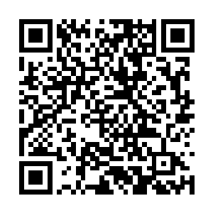 更多的就是担心王子殿下出于被迫女装的怨念玩脱二维码生成