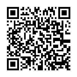 更多的是为了检验新式武器衍生的新战术在战斗中的作用二维码生成