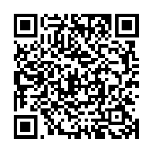 更多的是出于练兵和平衡成本的打算如果国内盈利充足的话二维码生成