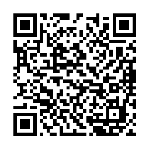 更多的是因为这些工入很多都是企业小股东的原因二维码生成