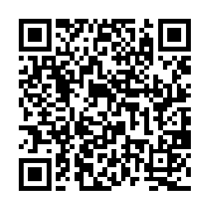 更多的是李卫军和吴卫国两人在回忆过去的军旅生涯二维码生成