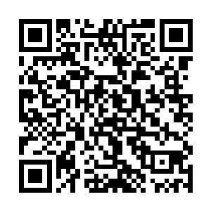 更多的精力还是集中在不远处的那只金色灵猫的身上二维码生成