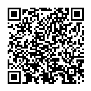 更多被带出剧本的道具……最终这些东西都会体现在拍卖行的交易数量上二维码生成