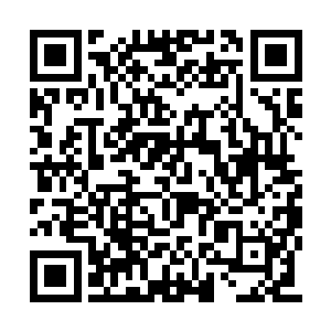 更大的投入准备撕开人族在赛尔内斯的这条防线二维码生成