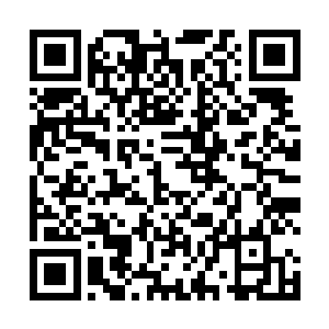 更好的是现在就可以提前获得许多弟子级的权力与待遇二维码生成