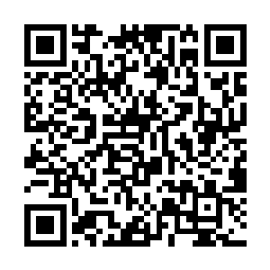 更巧的是哪里的天材地宝倒地受到了何种力量的驱使二维码生成