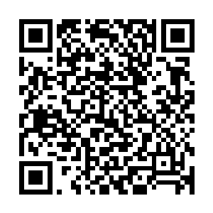 更希望发布会之后王世子不会无聊到去看今天这场直播的视频二维码生成