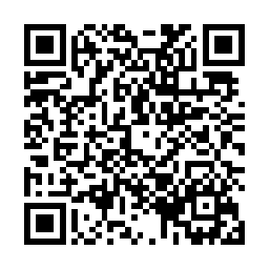 更得有地位更为显赫的家族族长手持名片前来请求见面二维码生成