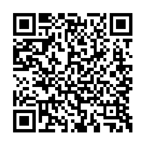 更急于从紫极剑宗身上咬下几块肉来的超级宗派二维码生成