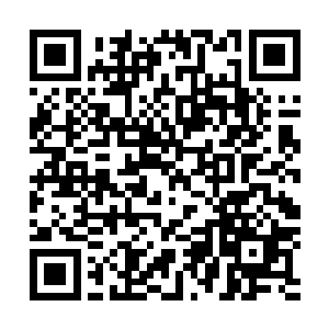 更恨兽二少将秘密公布在君北月和司徒浩南这两个外人面前二维码生成