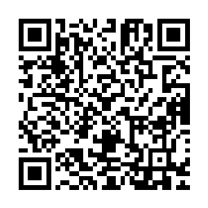 更想知道他们联系了那个势力从哪些势力哪里得到多大的支持二维码生成