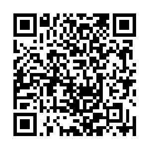 更找不到自己秘方中在前世被称为神仙草的那味野山参二维码生成