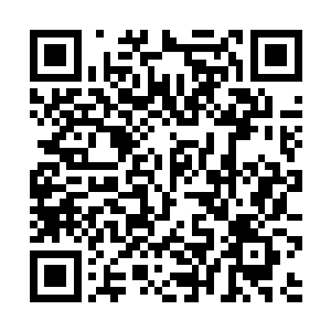 更无趣的是在这段时间内明星能说的就那么一两句话二维码生成