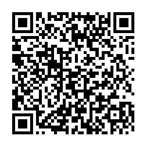 更是传承了不知道多少年的努曼人血统以及北地一个声名在外的公国二维码生成