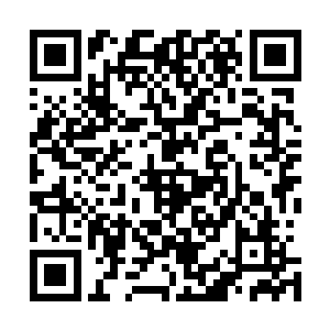 更是充满着一种好奇的窥视然这么小的老鼠还没有什么记忆二维码生成