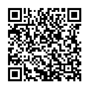 更是凭借这一连串和千叶家暗中控制的企业的合作和漂亮业绩二维码生成