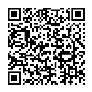 更是只偶尔有几只跑出洞穴来对着天空放两箭就一溜烟跑回洞穴里二维码生成