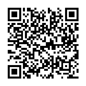 更是可以见到丝丝缕缕的柔和龙气从里面冒了出来二维码生成