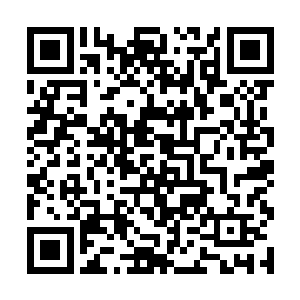 更是因为他们各自都拥有了一些长辈赐予的强大法宝二维码生成