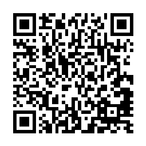 更是因为他担心奥林匹斯方面会不会有什么吞噬强者的秘法二维码生成
