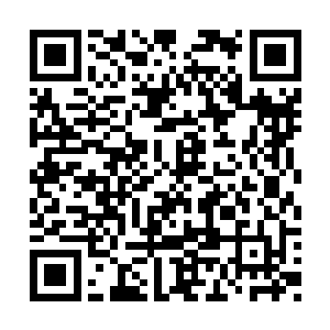 更是因为他故意想要借此机会飞到楚旬等人身边二维码生成
