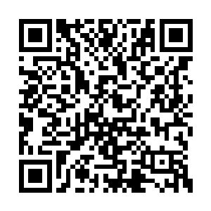 更是因为器灵的存在杨戬才能够如此顺利的融合二维码生成