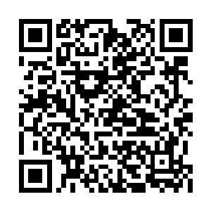 更是在这气息之下还有一分浓郁的生生不息之力二维码生成