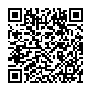 更是在那名奇人的帮助下抓到了刺客的一个同党二维码生成