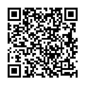 更是巴不得李峰一走出圣坟就被那些圣级强者杀死二维码生成