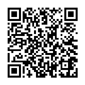 更是我们直接截获来自星海边陲的超远距离通讯秘报二维码生成