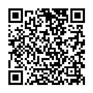 更是曼殊沙华因缘万果宝树所诞生的第一个臣民……二维码生成