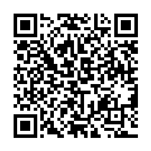 更是有不少冤大头广告商举着大把的钞票走进西江卫视的总部二维码生成