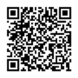 更是有着一些女的主动的对着苏凡等人投怀送抱二维码生成