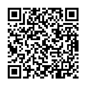 更是每天带着这些野狗偷偷在广场上看那些大妈们跳二维码生成