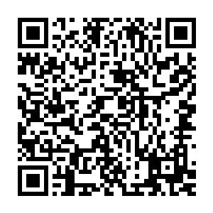 更是熟悉得让叶听涵不受控制地抢过了平板仔仔细细地辨认是否有出错二维码生成