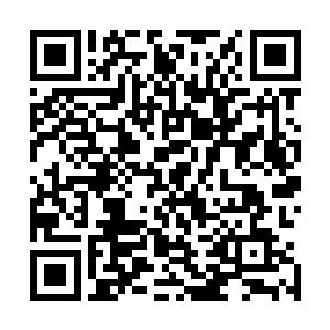 更是琳琅满目的在吴岩的大道圣界之内堆成了一座千丈小山二维码生成