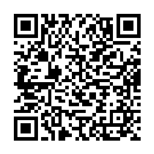 更是瞬间就让杨莫龙那沉浸了多少年的情愫和征服的二维码生成