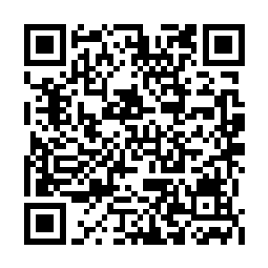 更是筑起高台存放那位至尊唯独留下的一把长剑二维码生成